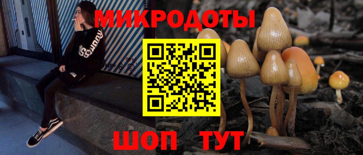 Псилоцибиновые грибы мицелий  Псилоцибиновые грибы GOLDEN TEACHER  Вход с VPN  Дзержинск 